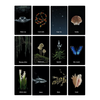 Custom Oracle Cards Deck - 1