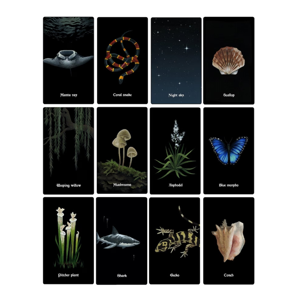 Custom Oracle Cards Deck - 1